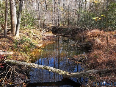 Lake Acreage For Sale in Powhatan, Virginia