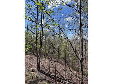 Welcome to Vista at Bills Mountain, Lot 158! Located in Lake - photo 11