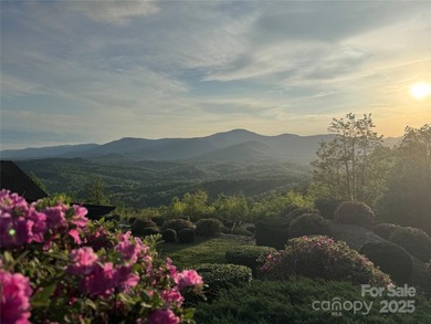 Welcome to Vista at Bills Mountain, Lot 158! Located in Lake - photo 13
