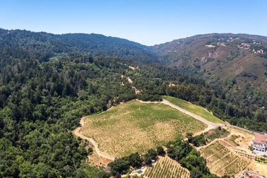 This property is one of the 4 lots available (544-58-012 with 11 - photo 13