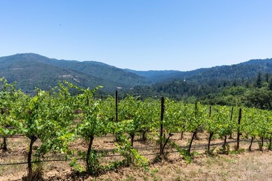 This property is one of the 4 lots available (544-58-012 with 11 - photo 16