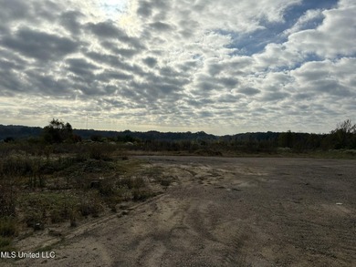 Discover this exceptional 185.15+/- acre parcel located just - photo 4