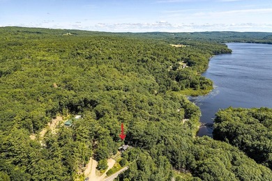 Humming with happiness, this year-round cottage-style home - photo 39