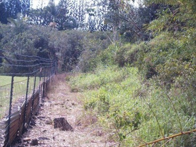 Do you want to create your own private, in-town sanctuary? - photo 7