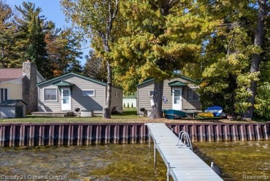 Lake Home For Sale in Onaway, Michigan