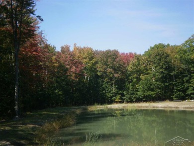 Lake Acreage For Sale in Linwood, Michigan