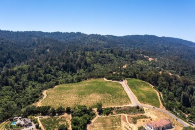 This property is one of the 4 lots available (544-58-013 with 4 - photo 12