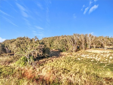 Build Your Dream Home with Breathtaking Sunsets on Lake Siena - photo 19