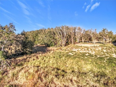 Build Your Dream Home with Breathtaking Sunsets on Lake Siena - photo 20