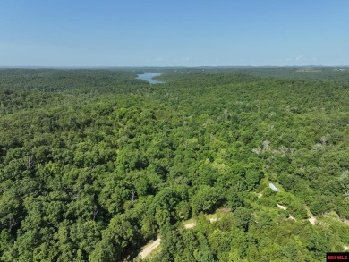 (private lake, pond, creek) Lot For Sale in Gainesville Missouri