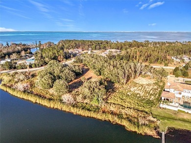 Build Your Dream Home with Breathtaking Sunsets on Lake Siena - photo 25