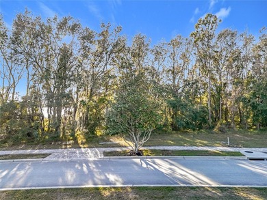 Build Your Dream Home with Breathtaking Sunsets on Lake Siena - photo 29