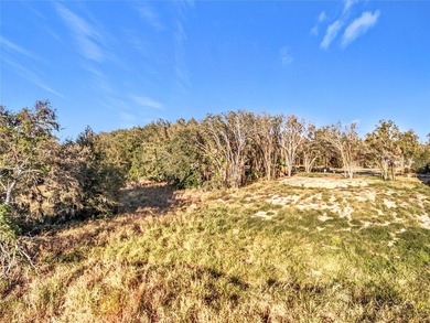 Build Your Dream Home with Breathtaking Sunsets on Lake Siena - photo 31