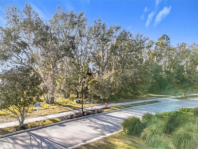 Build Your Dream Home with Breathtaking Sunsets on Lake Siena - photo 32