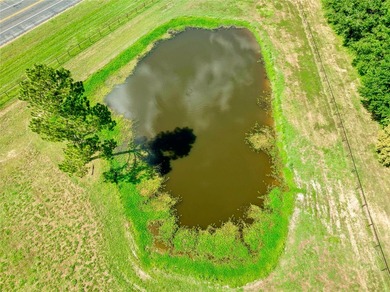 Luxury Country Estate on 26.78+/- Acres with Water Rights - photo 6