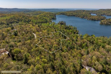 A private mountain estate property nestled on Hawk Mountain with - photo 49