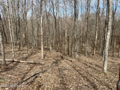 Taylorsville Lake Lot For Sale in Mt Eden Kentucky