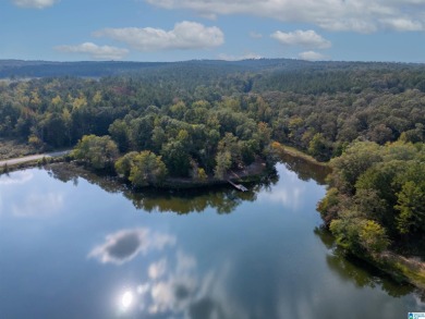 Lake Home For Sale in Talladega, Alabama