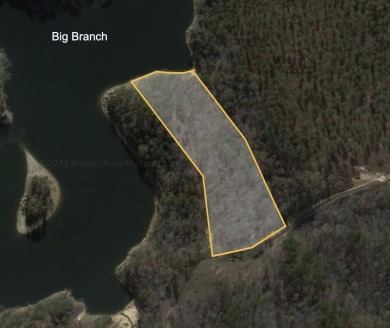 Stellar views from this lake lot, represented on plat with 3.41 - Lake Acreage For Sale in Bremen, Alabama