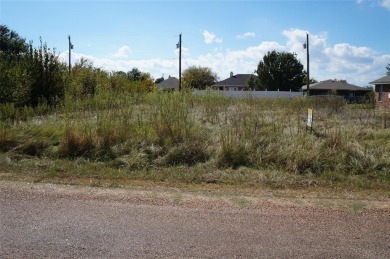 Surveyed, level and ready for your new site built home.  Water - Lake Lot For Sale in Gun Barrel City, Texas