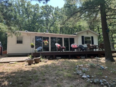 Lake Home For Sale in Baldwin, Michigan