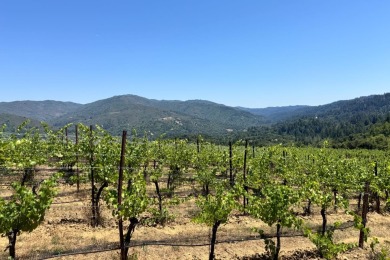 This property is one of the 4 lots available (544-58-014 with 3 - photo 16