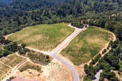 This property is one of the 4 lots available (544-58-014 with 3 - photo 23