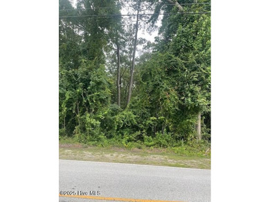 Pamlico River Lot For Sale in Washington North Carolina
