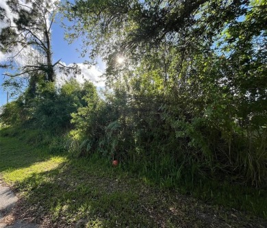 Northport Waterway Lakes and Canals Lot For Sale in North Port Florida