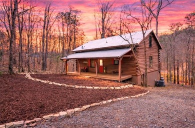 Coosawattee River Home For Sale in Ellijay Georgia