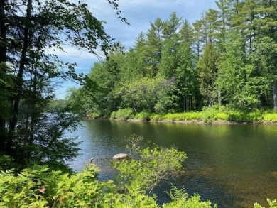 (private lake, pond, creek) Acreage For Sale in Parsonsfield Maine