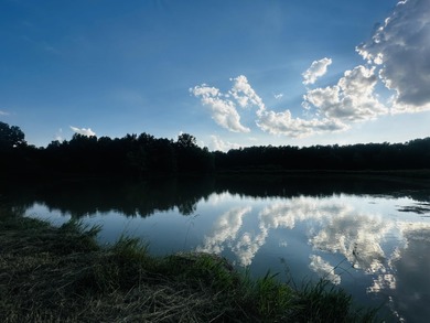 (private lake, pond, coastal) Acreage For Sale in Mexico Missouri