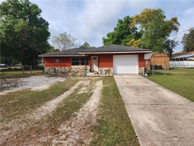 Lake Home For Sale in Lake Panasoffkee, Florida