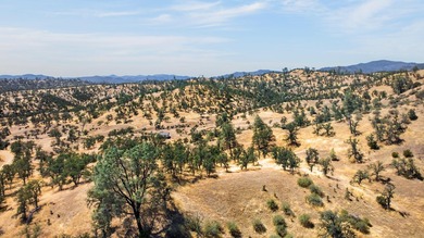 Experience the beauty of true country living on this expansive - photo 31