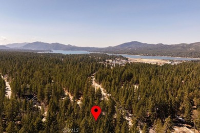42421 Evergreen Dr - photo 48