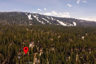 42421 Evergreen Dr - photo 49
