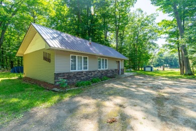 Lake Home For Sale in Stanwood, Michigan