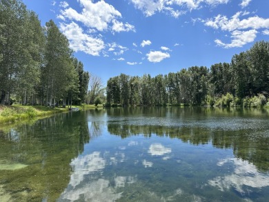 (private lake, pond, creek) Acreage For Sale in Blaine County Idaho