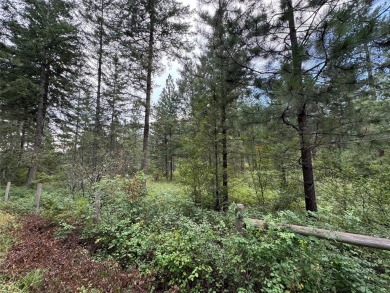 Flathead Lake Acreage For Sale in Polson Montana