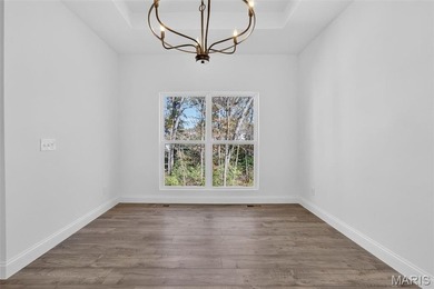 New construction home with over 1,200 sq ft of finished basement - photo 12