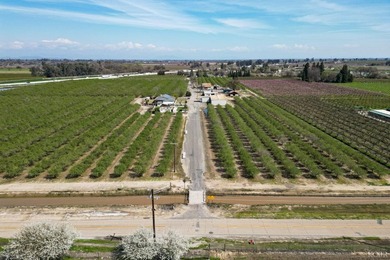 Income Producing Almonds/ Two (2) Homes/ Kings River Frontage - photo 3