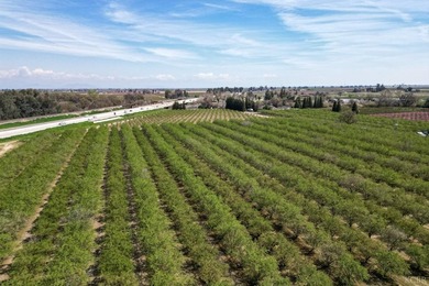 Income Producing Almonds/ Two (2) Homes/ Kings River Frontage - photo 4