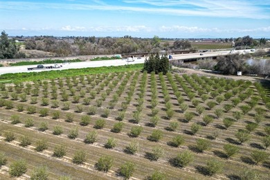 Income Producing Almonds/ Two (2) Homes/ Kings River Frontage - photo 5