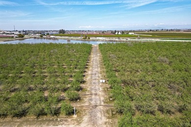 Income Producing Almonds/ Two (2) Homes/ Kings River Frontage - photo 9