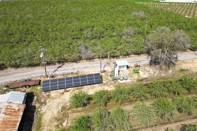 Income Producing Almonds/ Two (2) Homes/ Kings River Frontage - photo 10