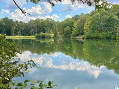 Lake Acreage For Sale in Roanoke, Alabama