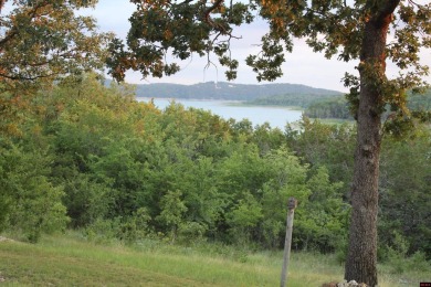 Bull Shoals Lake Lot For Sale in Protem Missouri