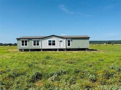 Brazos River - Palo Pinto County Home For Sale in Mineral Wells Texas