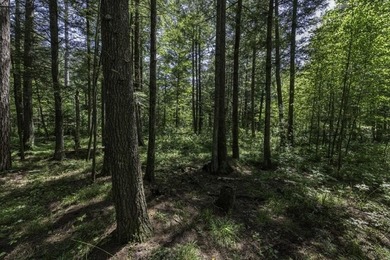 Unique acreage in Natural Lakes off CTH B & Bluebill Rd! A mix - photo 13