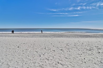 Freshly remodeled, updated unit on the 11th floor with amazing